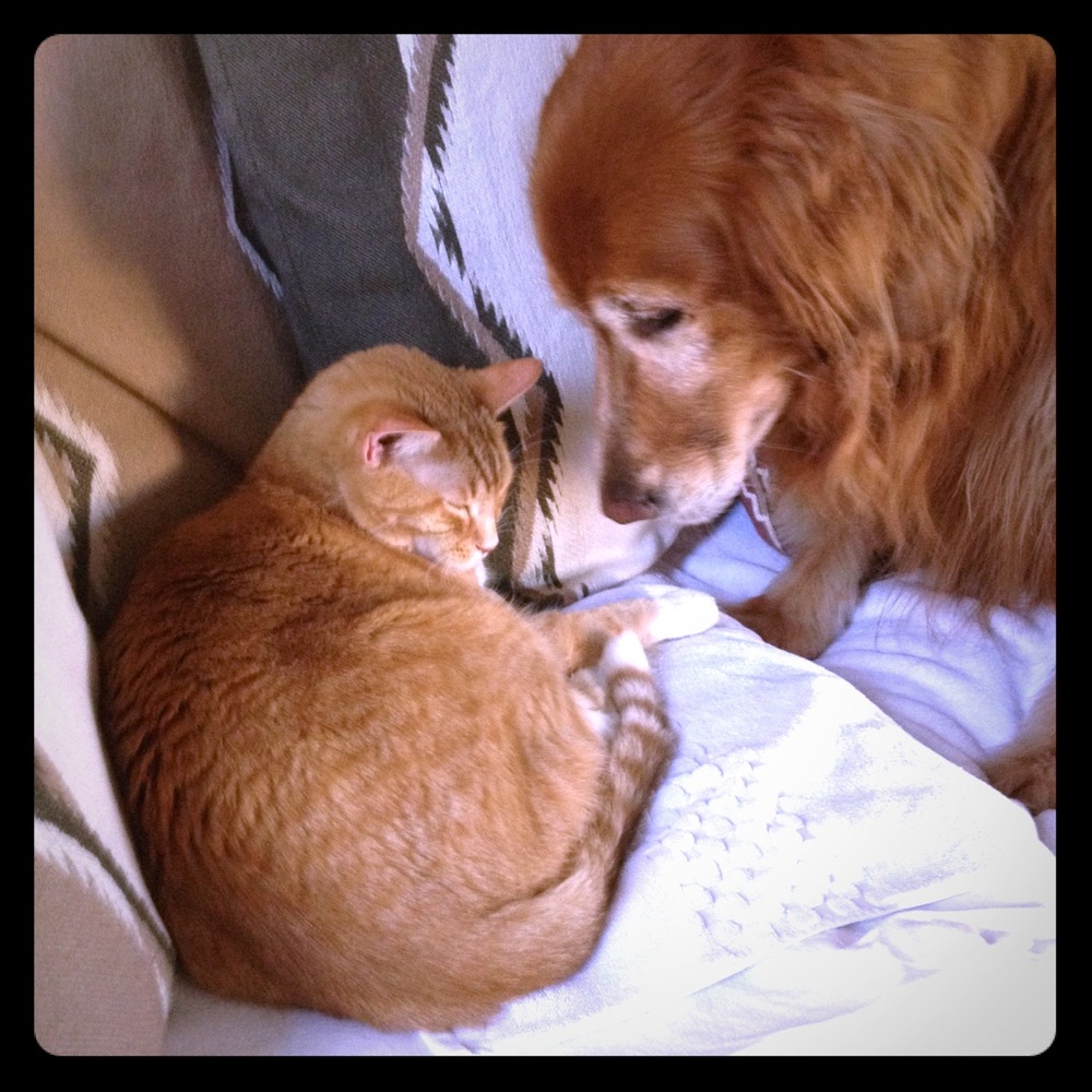 Molly and Frick